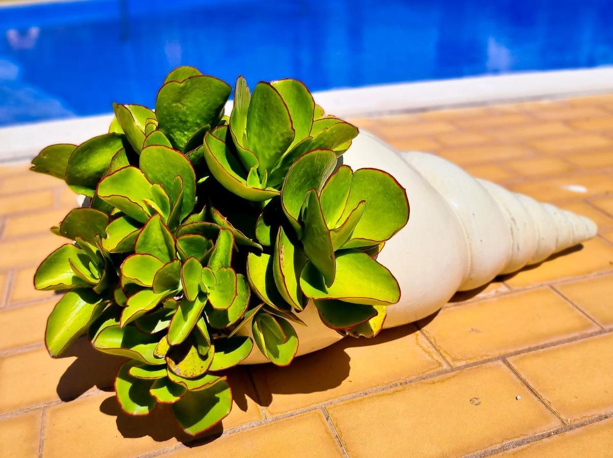 Flh Vilamoura Summer Flat With Pool Esterno foto
